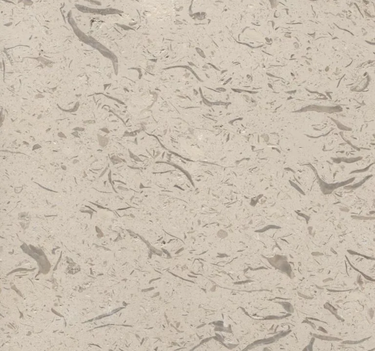 Close-up sample of fine shell stone with visible grey shell fragments.