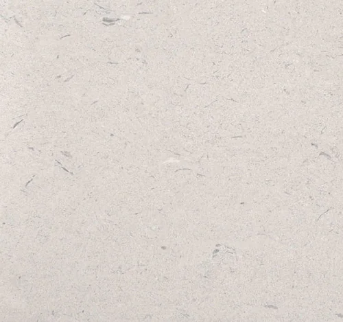 Close-up sample of white limestone with a pale surface and subtle shell marks.
